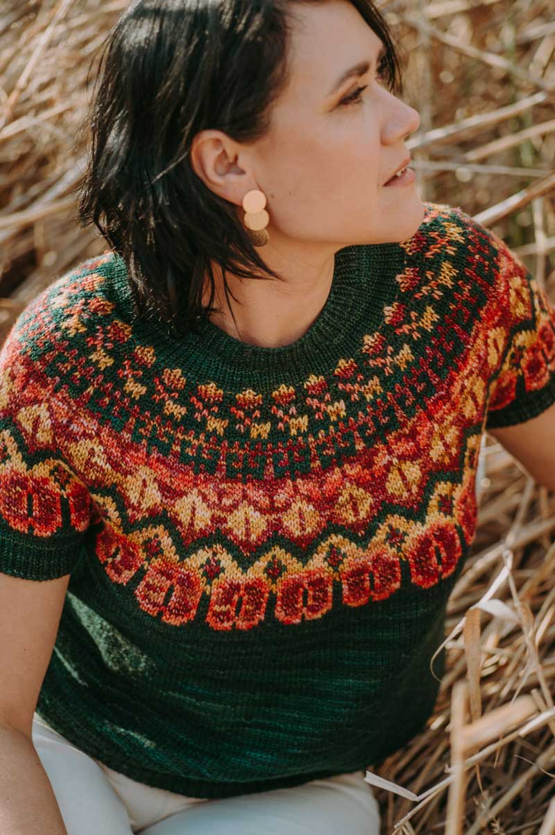Seasons of Stitches - Laine - The Little Yarn Store