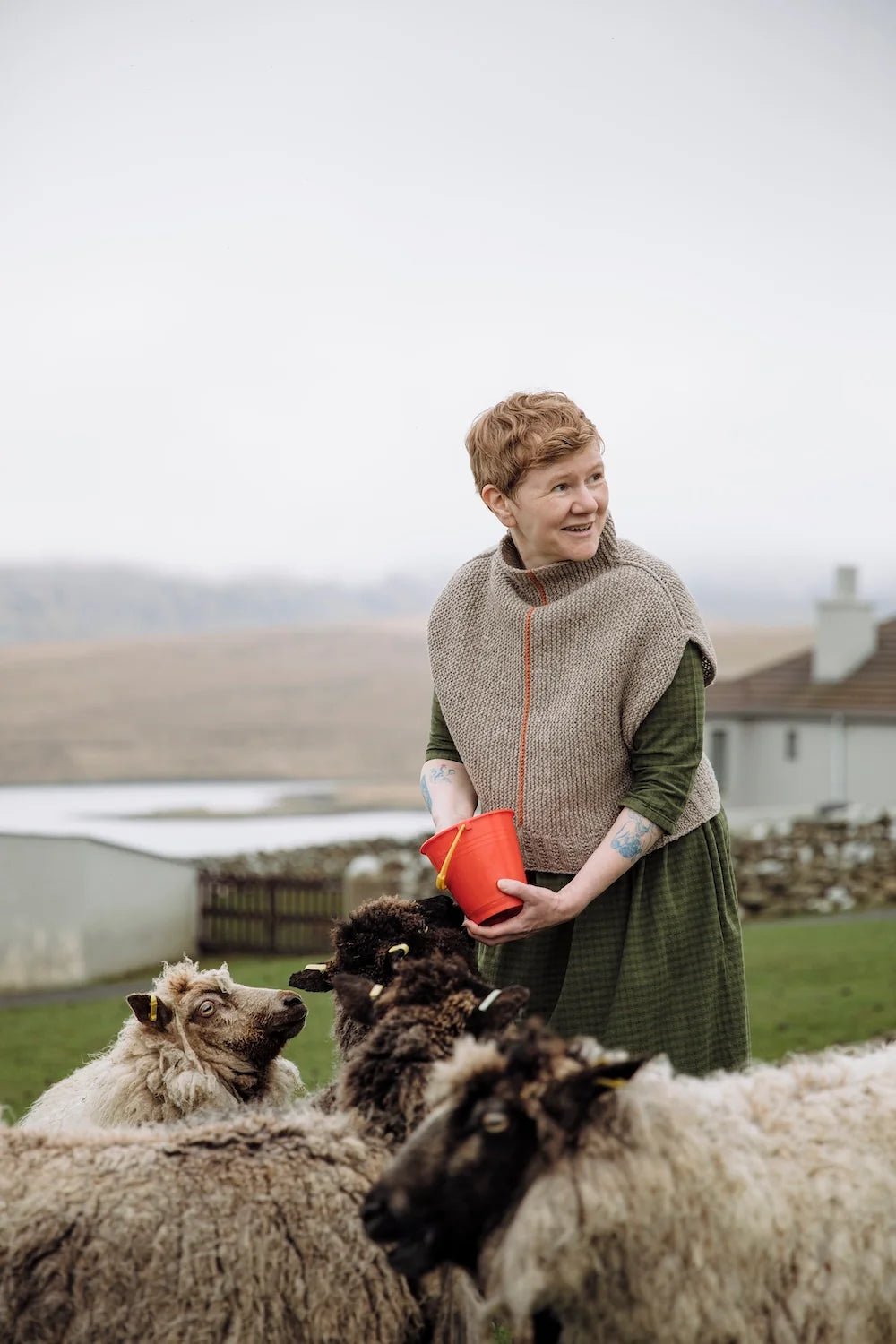 Shetland Shades: Stories in Wool - Laine - The Little Yarn Store