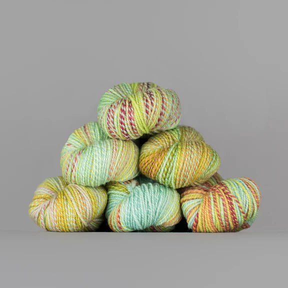 Spincycle Yarns Dyed in the Wool - Spincycle Yarns - Field Day - The Little Yarn Store