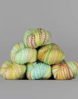 Spincycle Yarns Dyed in the Wool - Spincycle Yarns - Field Day - The Little Yarn Store