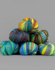 Spincycle Yarns Dyed in the Wool - Spincycle Yarns - Truth Bomb - The Little Yarn Store
