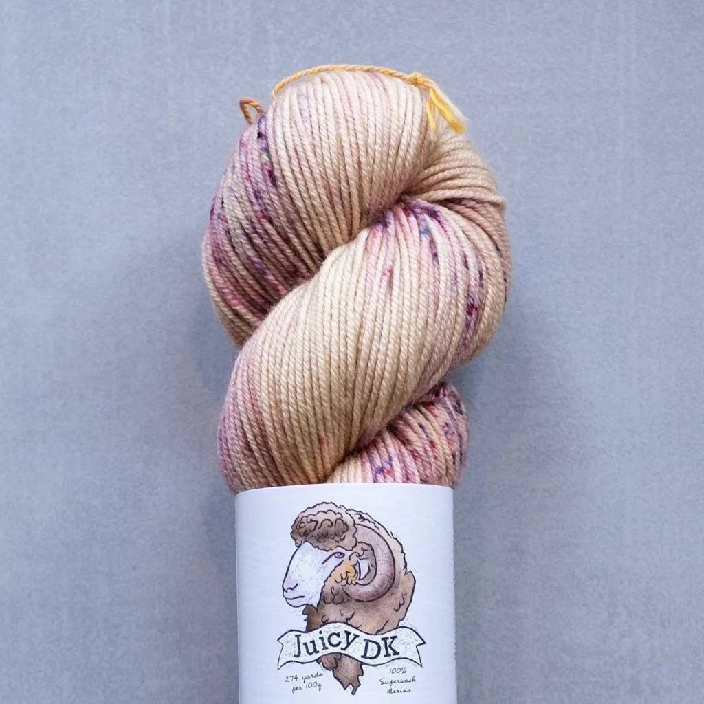 The Farmer&#39;s Daughter Fibers Juicy DK - The Farmer&#39;s Daughter Fibers - Fancy Dance&#39;n - The Little Yarn Store