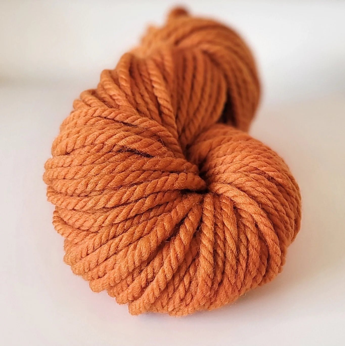 Woolly Yarn Co Super Woolly - Woolly Yarn Co - 15 Punkin - The Little Yarn Store