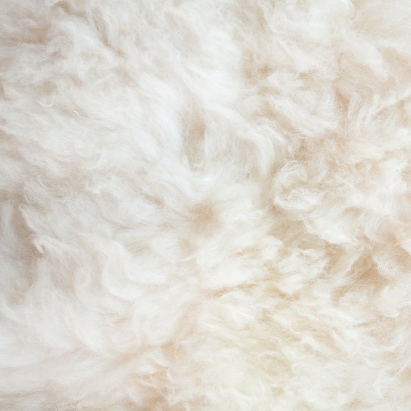 Cuddle Dreams 100% Australian Wool Comforter - King Size Heavyweight Winter Duvet Insert With Cotton Shell