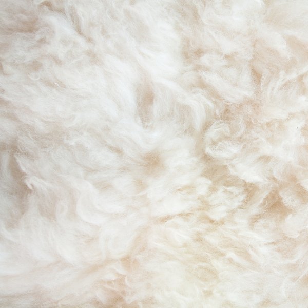 100% Australian Wool Filling (Stuffing) - New - Notions - The Little Yarn Store