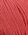 Bellissimo 8 - 233 Melon - 8 Ply - Bellissimo - The Little Yarn Store