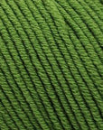 Bellissimo 8 - 210 Green - 8 Ply - Bellissimo - The Little Yarn Store