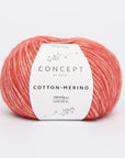 London Beanie Crochet Kit - Justine Walley - 120 Red - The Little Yarn Store