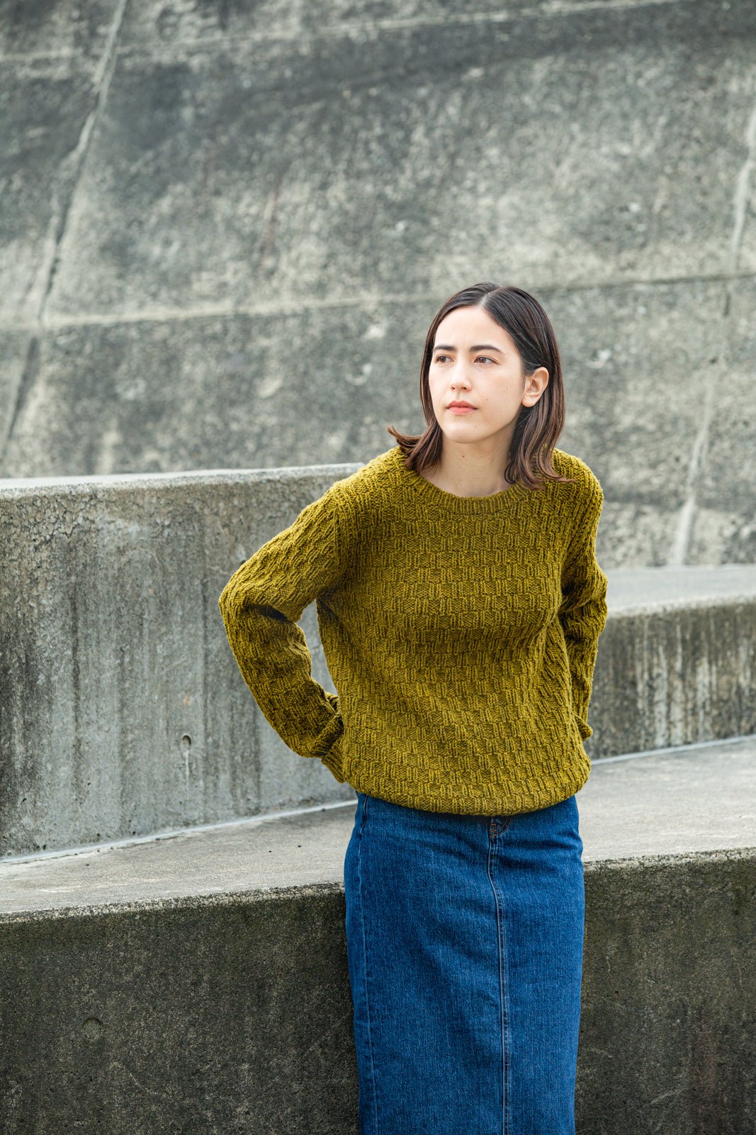 Northern Lights: A Collection with Brooklyn Tweed - Amirisu - Books - The Little Yarn Store