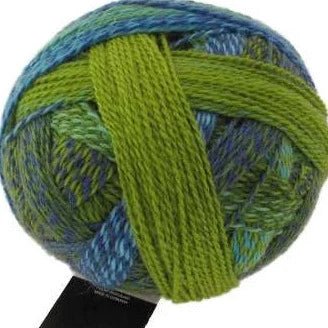 Schoppel-Wolle Starke 6 - 2136 Spring Has Come! - 5 Ply - Nylon - The Little Yarn Store