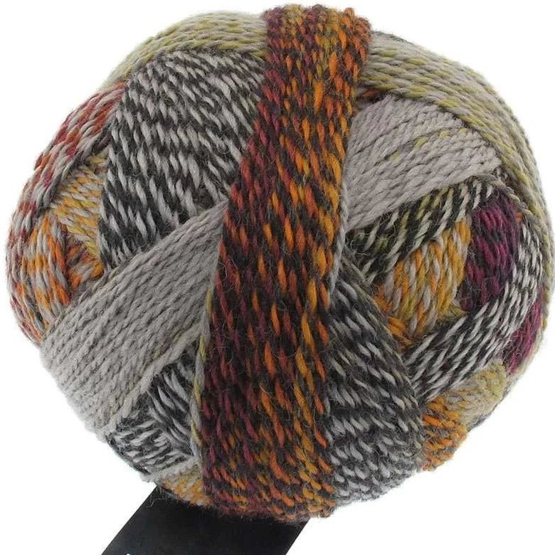 Schoppel-Wolle Starke 6 - 2545 Early Autumn - 5 Ply - Nylon - The Little Yarn Store