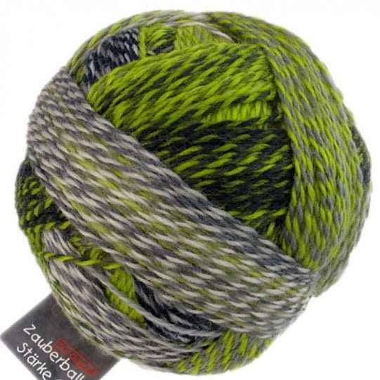 Schoppel-Wolle Starke 6 - 2204 Green Week - 5 Ply - Nylon - The Little Yarn Store