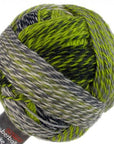 Schoppel-Wolle Starke 6 - 2204 Green Week - 5 Ply - Nylon - The Little Yarn Store