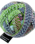 Schoppel-Wolle Starke 6 - 2170 Not the Foggiest - 5 Ply - Nylon - The Little Yarn Store