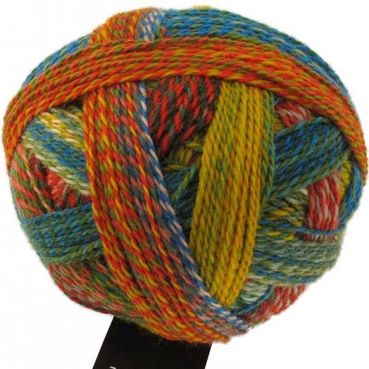 Schoppel-Wolle Starke 6 - 1701 Parrot - 5 Ply - Nylon - The Little Yarn Store