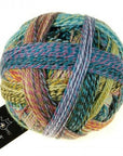 Schoppel-Wolle Starke 6 - 2355 Garden Party - 5 Ply - Nylon - The Little Yarn Store