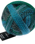 Schoppel-Wolle Starke 6 - 2542 Cool Botanical Garden - 5 Ply - Nylon - The Little Yarn Store