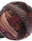 Schoppel-Wolle Starke 6 - 2544 Late Autumn - 5 Ply - Nylon - The Little Yarn Store