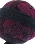 Schoppel-Wolle Starke 6 - 2082 Charisma - 5 Ply - Nylon - The Little Yarn Store