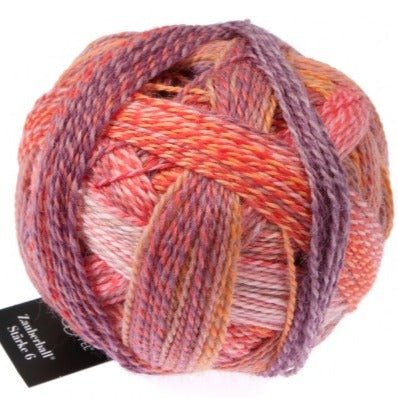 Schoppel-Wolle Starke 6 - 2546 Warm Botanical Garden - 5 Ply - Nylon - The Little Yarn Store