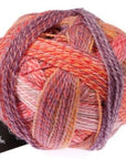 Schoppel-Wolle Starke 6 - 2546 Warm Botanical Garden - 5 Ply - Nylon - The Little Yarn Store