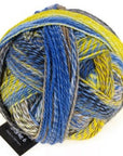 Schoppel-Wolle Starke 6 - 2332 Hourglass - 5 Ply - Nylon - The Little Yarn Store