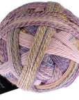 Schoppel-Wolle Starke 6 - 2473 Attractant - 5 Ply - Nylon - The Little Yarn Store