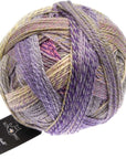 Schoppel-Wolle Starke 6 - 2514 Privy Council - 5 Ply - Nylon - The Little Yarn Store