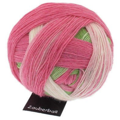 Schoppel-Wolle Zauberball - 2079 Floral Language - 4 Ply - Nylon - The Little Yarn Store