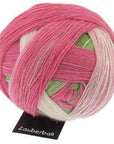 Schoppel-Wolle Zauberball - 2079 Floral Language - 4 Ply - Nylon - The Little Yarn Store