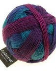 Schoppel-Wolle Zauberball - 2335 Autumn is Timeless - 4 Ply - Nylon - The Little Yarn Store