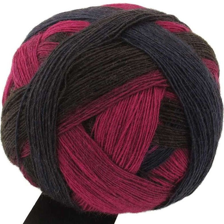 Schoppel-Wolle Zauberball - 2082 Charisma - 4 Ply - Nylon - The Little Yarn Store