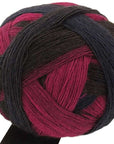 Schoppel-Wolle Zauberball - 2082 Charisma - 4 Ply - Nylon - The Little Yarn Store