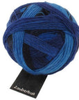 Schoppel-Wolle Zauberball - 2134 Blue Eyes - 4 Ply - Nylon - The Little Yarn Store