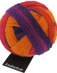 Schoppel-Wolle Zauberball - 1536 A Bed of Fuchsia - 4 Ply - Nylon - The Little Yarn Store