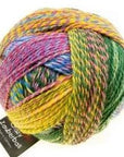Schoppel-Wolle Zauberball Crazy - 2334 Malerwinkel - 4 Ply - Nylon - The Little Yarn Store