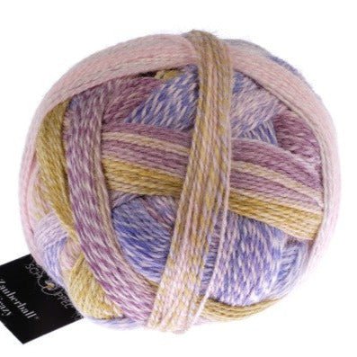 Schoppel-Wolle Zauberball Crazy - 2473 Attractant - 4 Ply - Nylon - The Little Yarn Store