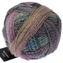 Schoppel-Wolle Zauberball Crazy - 2533 Tracking - 4 Ply - Nylon - The Little Yarn Store