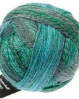 Schoppel-Wolle Zauberball Crazy - 2542 Cool Botanical Garden - 4 Ply - Nylon - The Little Yarn Store