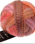 Schoppel-Wolle Zauberball Crazy - 2546 Warm Botanical Garden - 4 Ply - Nylon - The Little Yarn Store