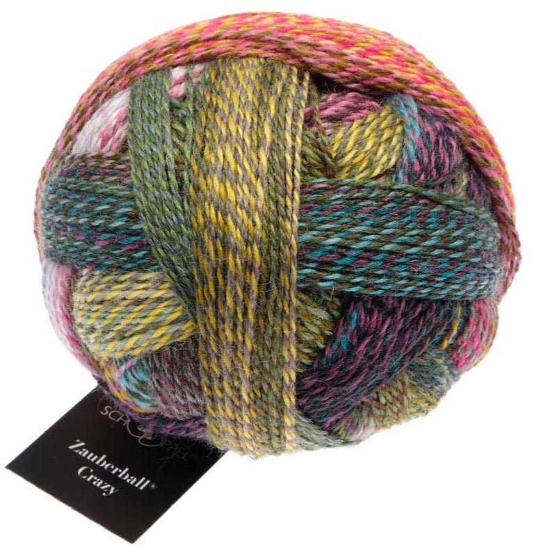 Schoppel-Wolle Zauberball Crazy - 2528 Dragon Eye - 4 Ply - Nylon - The Little Yarn Store
