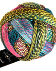 Schoppel-Wolle Zauberball Crazy - 2389 Anniversary Party - 4 Ply - Nylon - The Little Yarn Store