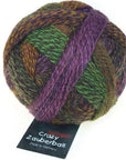 Schoppel-Wolle Zauberball Crazy - 2312 Piano Bar - 4 Ply - Nylon - The Little Yarn Store