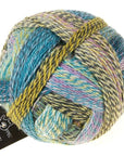 Schoppel-Wolle Zauberball Crazy - 2355 Garden Party - 4 Ply - Nylon - The Little Yarn Store