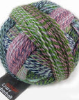 Schoppel-Wolle Zauberball Crazy - 2170 Not the Foggiest - 4 Ply - Nylon - The Little Yarn Store