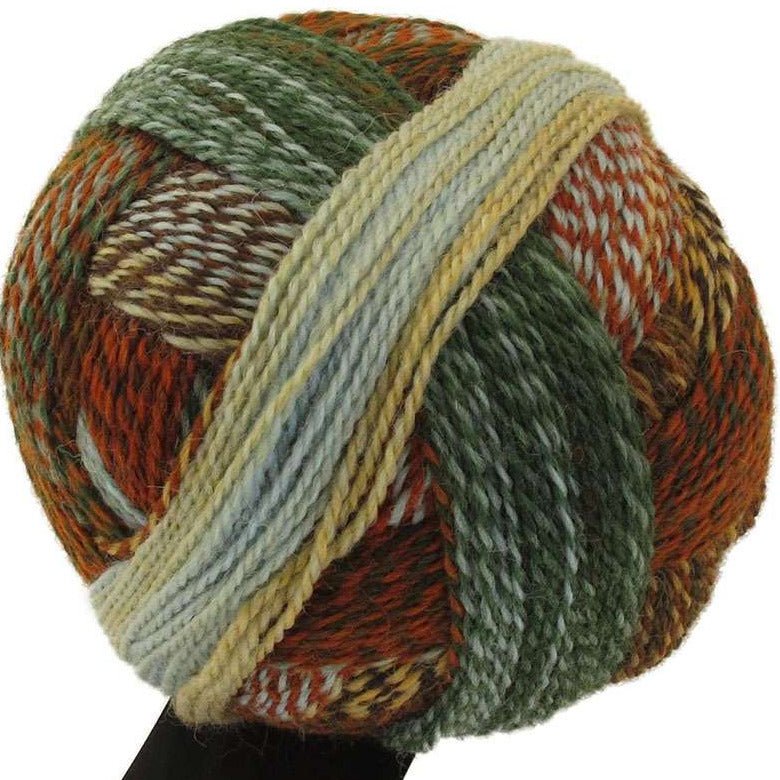 Schoppel-Wolle Zauberball Crazy - 1660 Riverbend - 4 Ply - Nylon - The Little Yarn Store