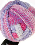 Schoppel-Wolle Zauberball Crazy - 2254 Cloud No. 8 - 4 Ply - Nylon - The Little Yarn Store